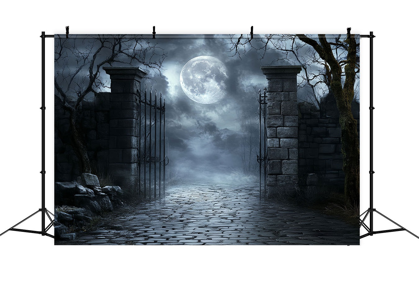 Moon Backdrop Moonlit Cemetery Iron Gate Halloween Photo Booth Backdrop UK CSH58-71