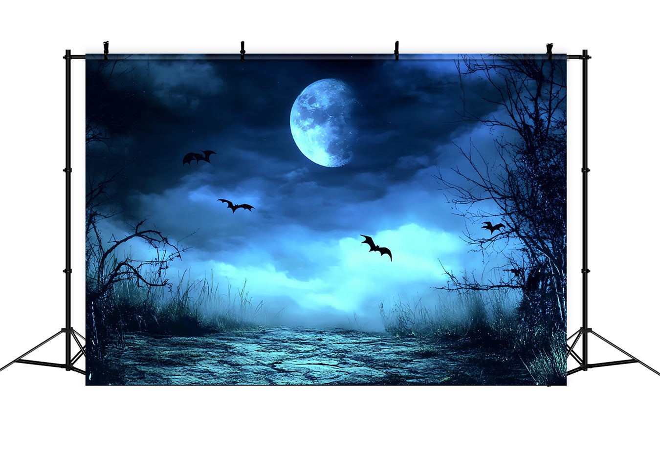 Night Sky Backdrop Blue Mist Spooky Path Halloween Photo Backdrop UK CSH58-83