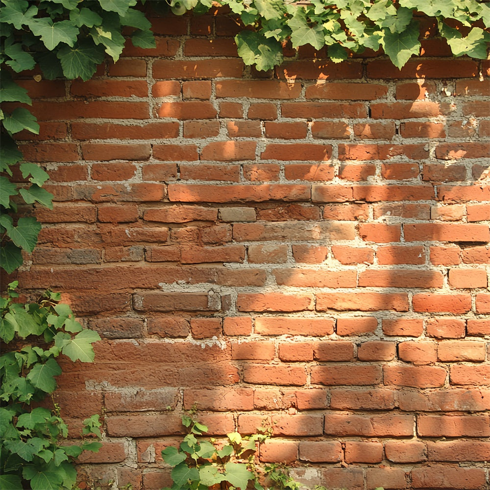 Red Brick Backdrop Rustic Ivy Wall Texture Backdrop UK CSH6-141
