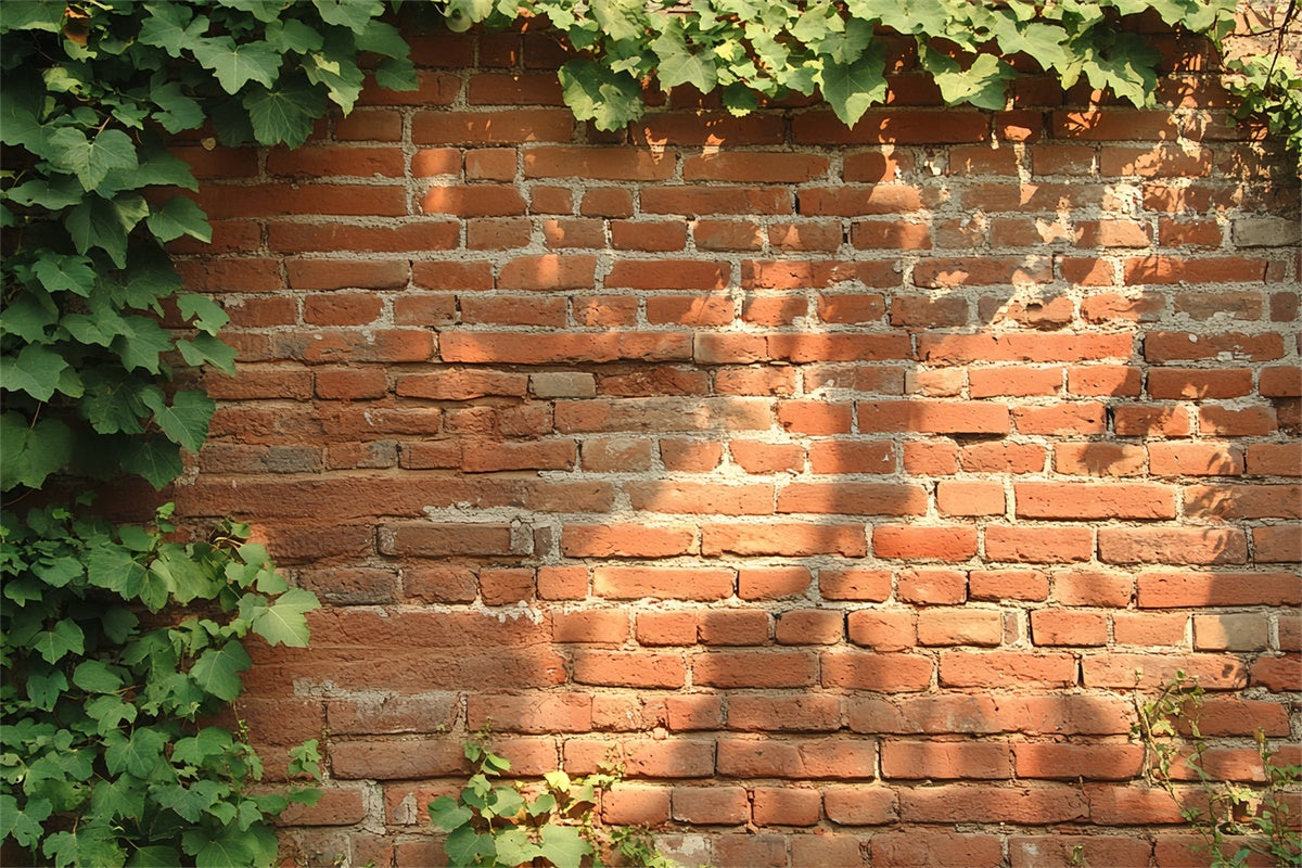 Red Brick Backdrop Rustic Ivy Wall Texture Backdrop UK CSH6-141
