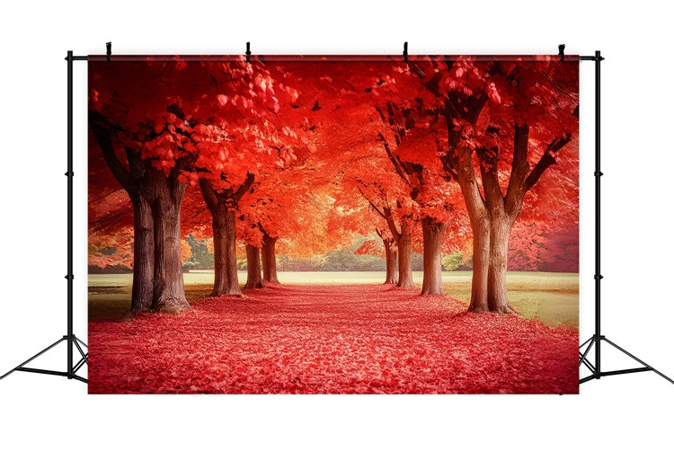 Forest Photo Backdrop Crimson Maple Trail Autumn Backdrop UK CSH6-192