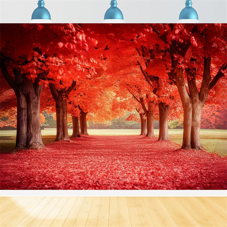 Forest Photo Backdrop Crimson Maple Trail Autumn Backdrop UK CSH6-192