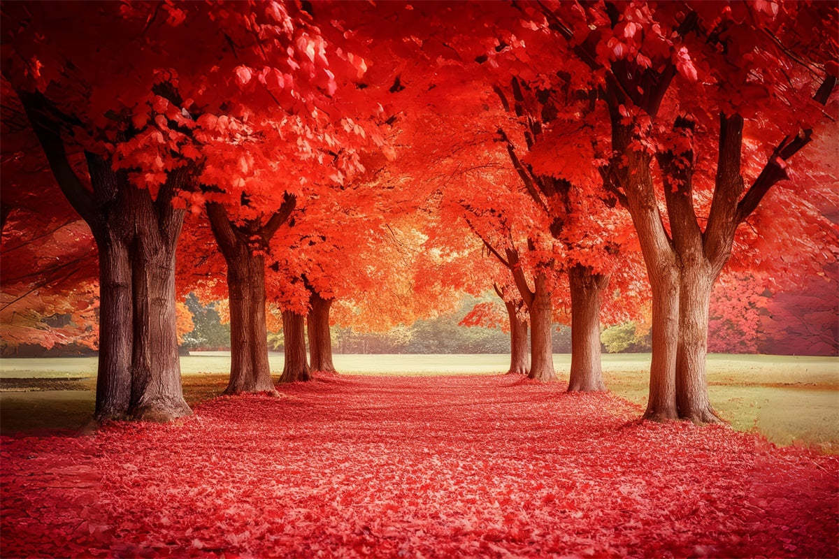 Forest Photo Backdrop Crimson Maple Trail Autumn Backdrop UK CSH6-192
