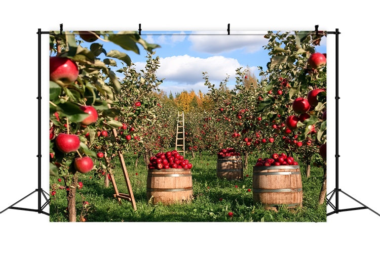 Fall Photo Backdrop Apple Harvest Orchard Backdrop UK CSH6-194