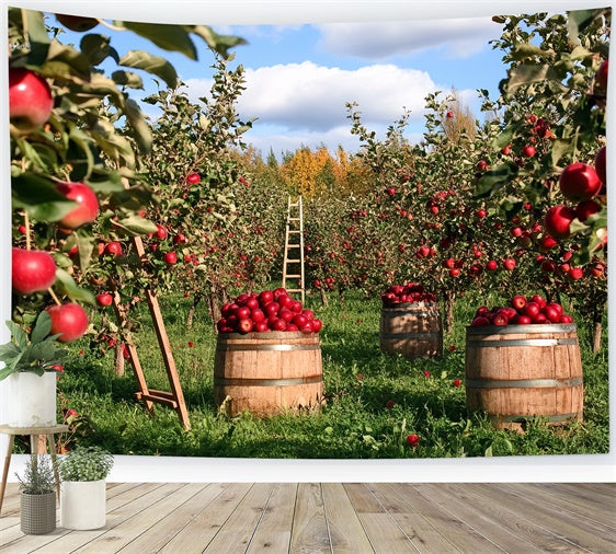 Fall Photo Backdrop Apple Harvest Orchard Backdrop UK CSH6-194