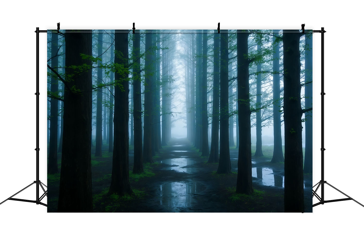 Spooky Forest Backdrop Misty Blue Woodland Corridor Backdrop Forest Theme UK CSH61-200