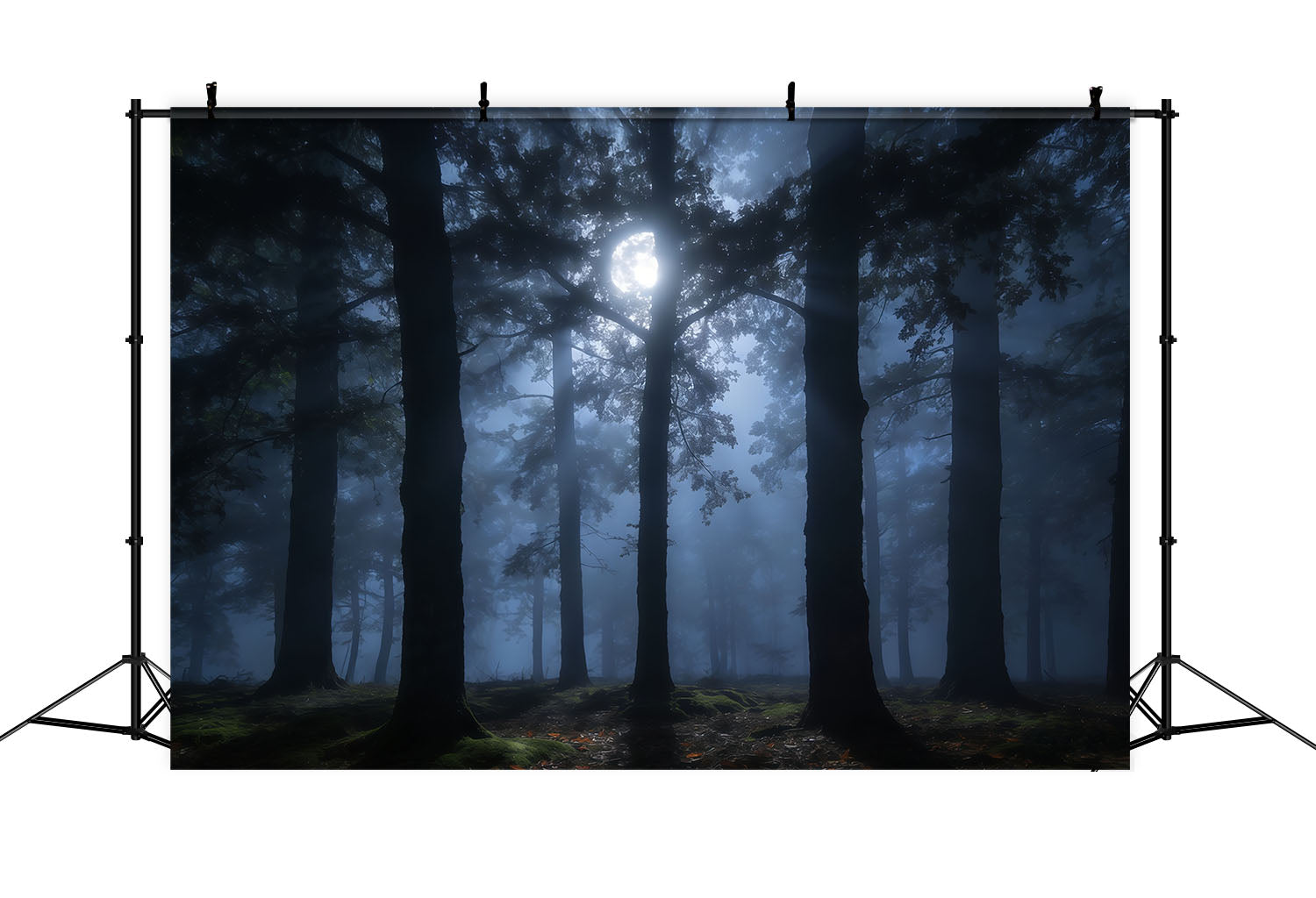 Creepy Forest Backdrop Misty Moon Shadowed Pines Forest Themed Backdrop UK CSH61-215