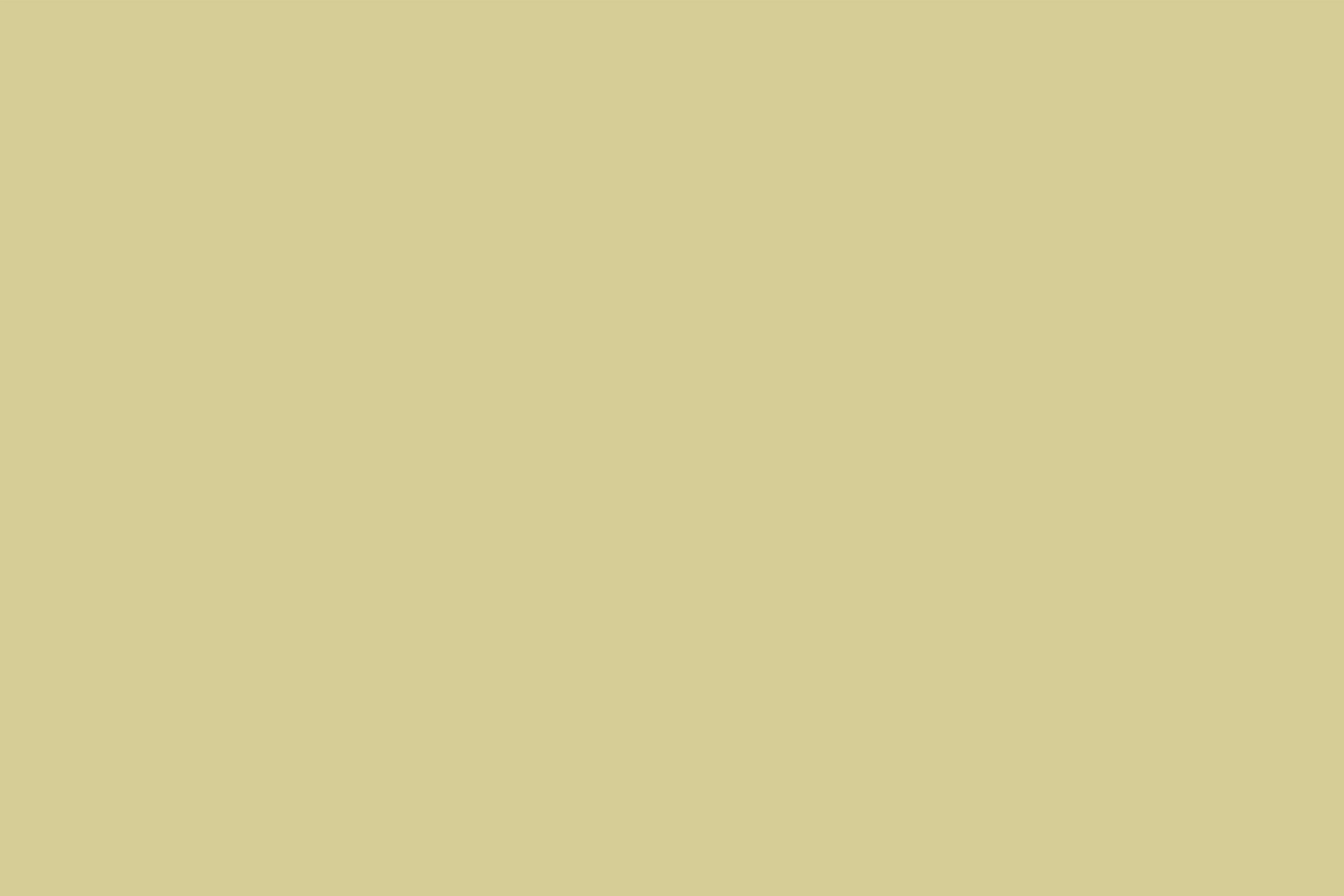 Yellow Backdrop Warm Butter Yellow Smooth Shade Solid Color Photo Backdrop UK CSH62-11