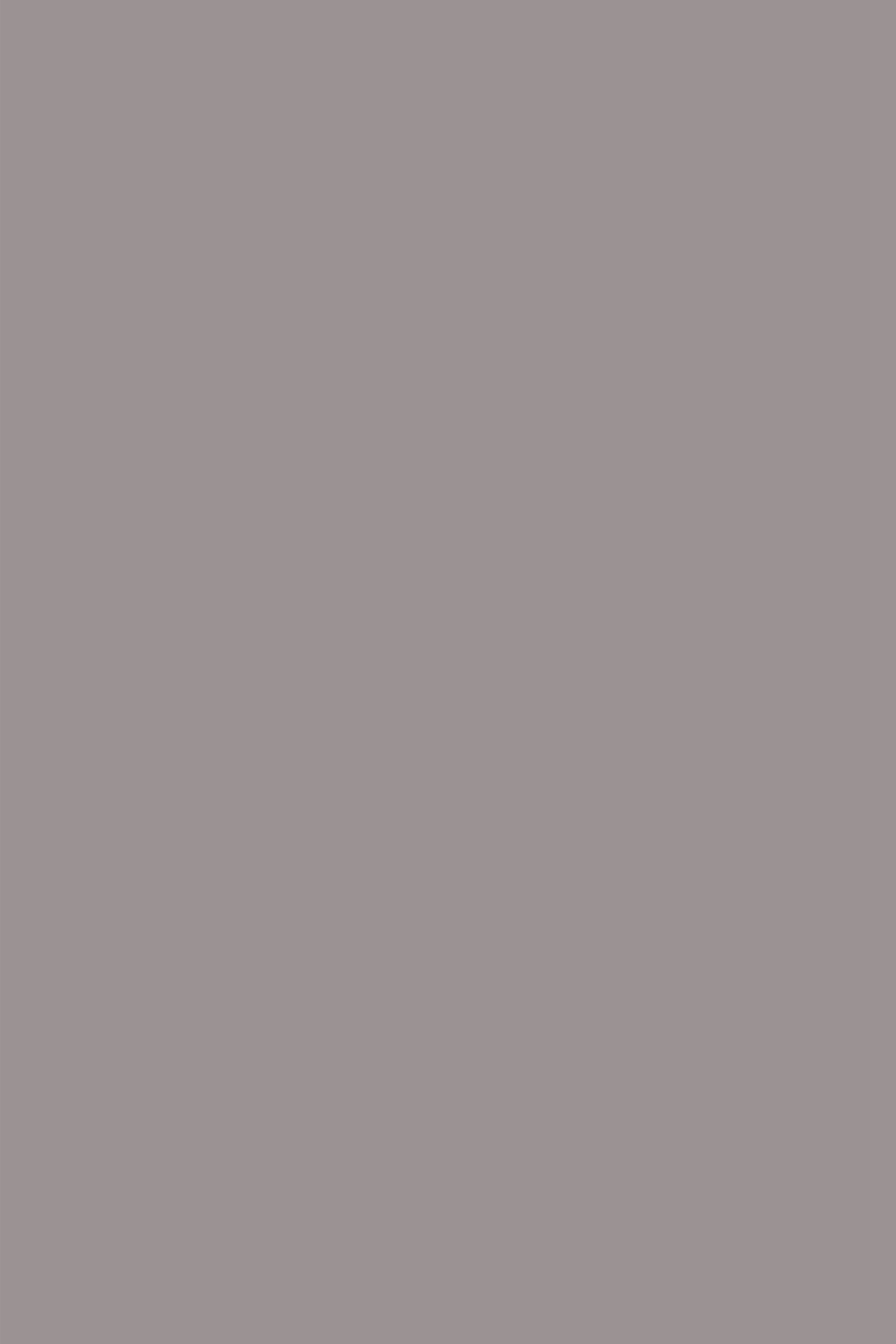 Light Brown Backdrop Warm Taupe Neutral Matte Tone Photography Solid Backdrops UK CSH62-13