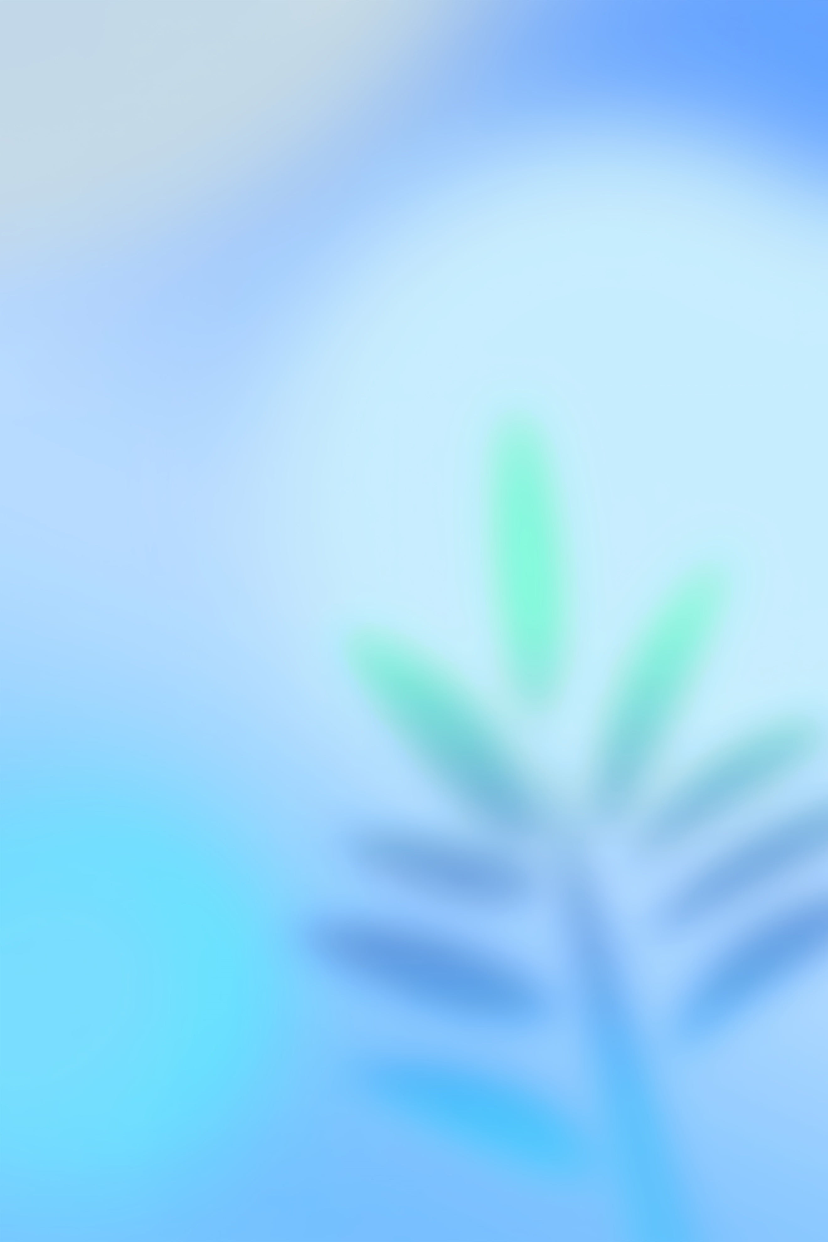 Photo Gradient Backdrop Soft Palm Green Blue Glow Backdrop For Professional Headshot UK CSH62-45