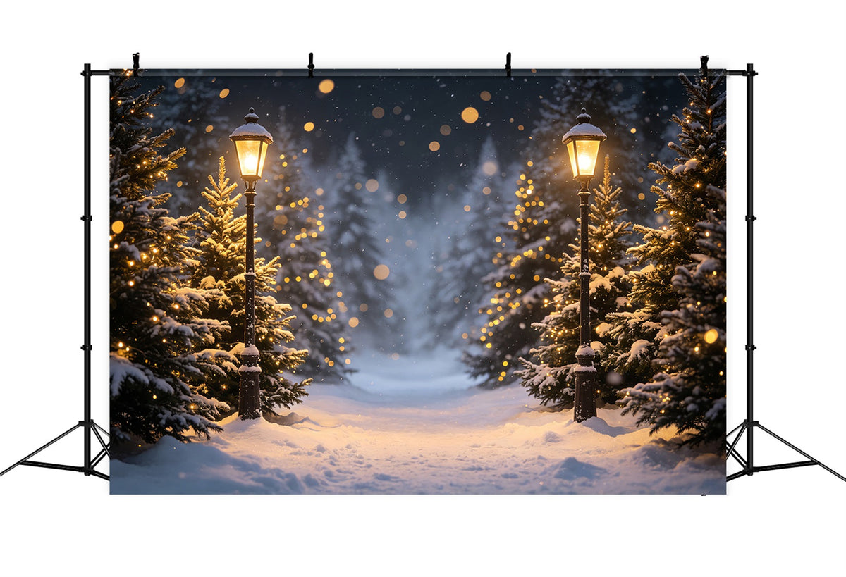 High Resolution Christmas Photo Backdrop Snowy Lantern Forest Path Outdoor Christmas Backdrop UK CSH69-96