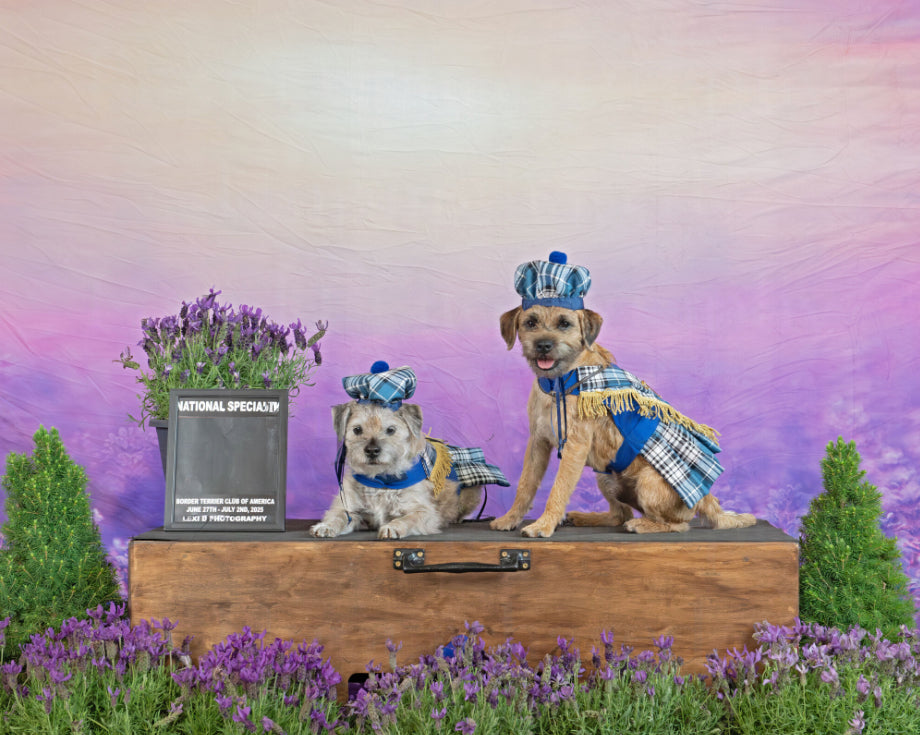 Lavender Field Purple Flowers Summer Photography Backdrop D790