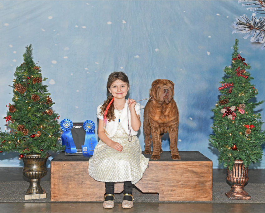 Snowflakes Bokeh Christmas Tree Photo backdrop UK DBD-19307