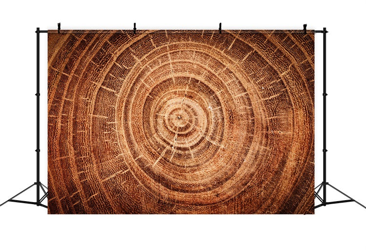 Real Wood Backdrop Tree Growth Rings Backdrop UK GQ4-132