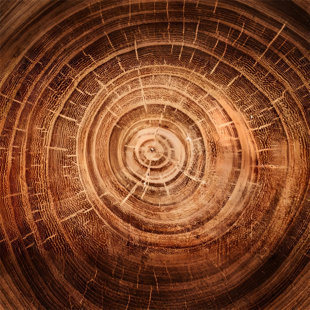 Real Wood Backdrop Tree Growth Rings Backdrop UK GQ4-132