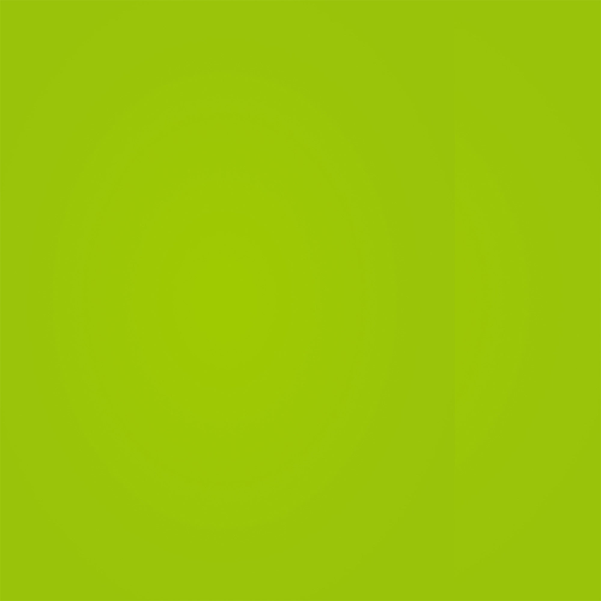 School Photo Backdrop Zesty Green Smooth Backdrop UK GQ4-191