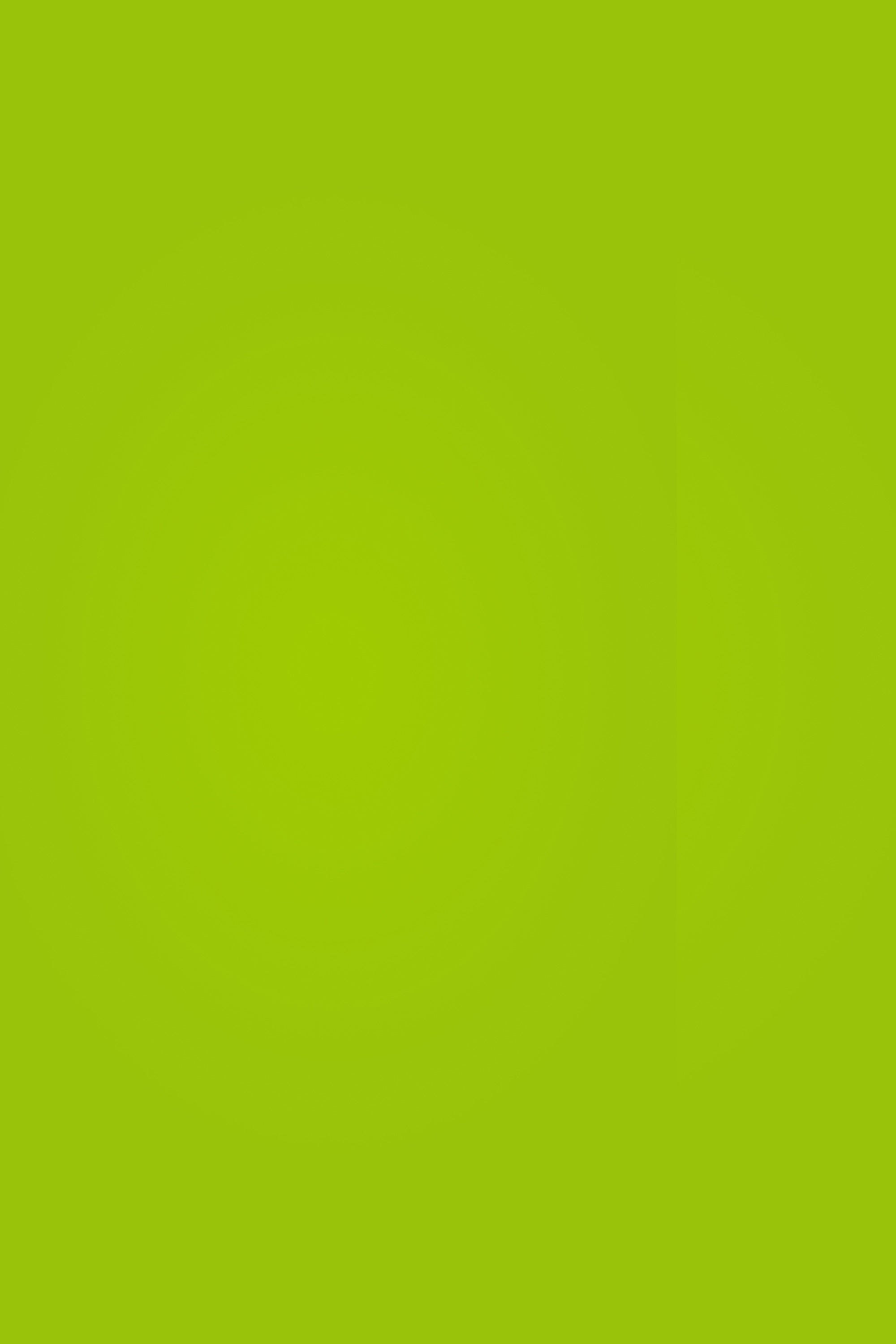 School Photo Backdrop Zesty Green Smooth Backdrop UK GQ4-191