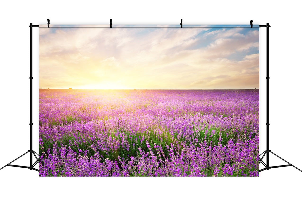 Lavender Backdrop Morning Bloom Floral Photography Backdrop UK GQ4-21