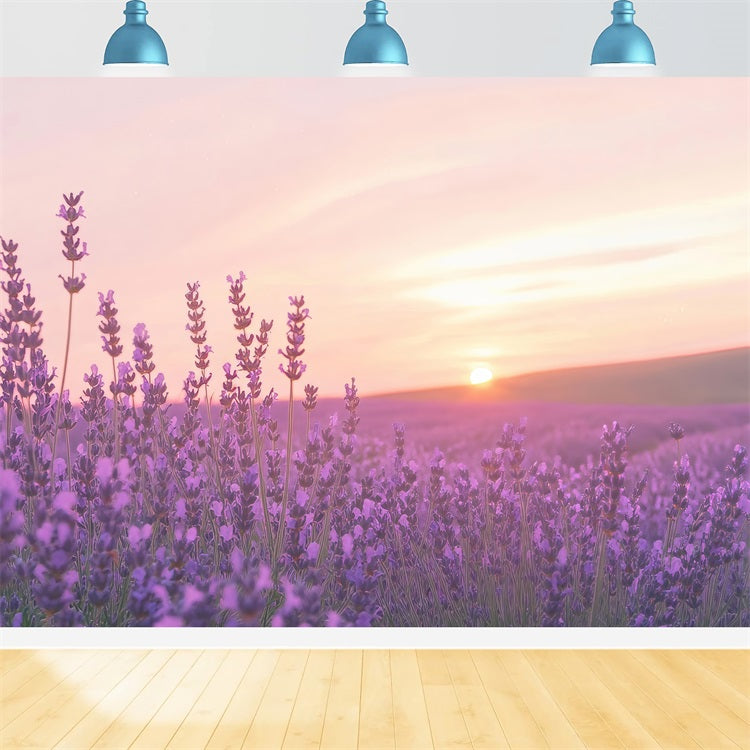 Lavender Photo Backdrop Sunset Floral Field Backdrop UK GQ4-32