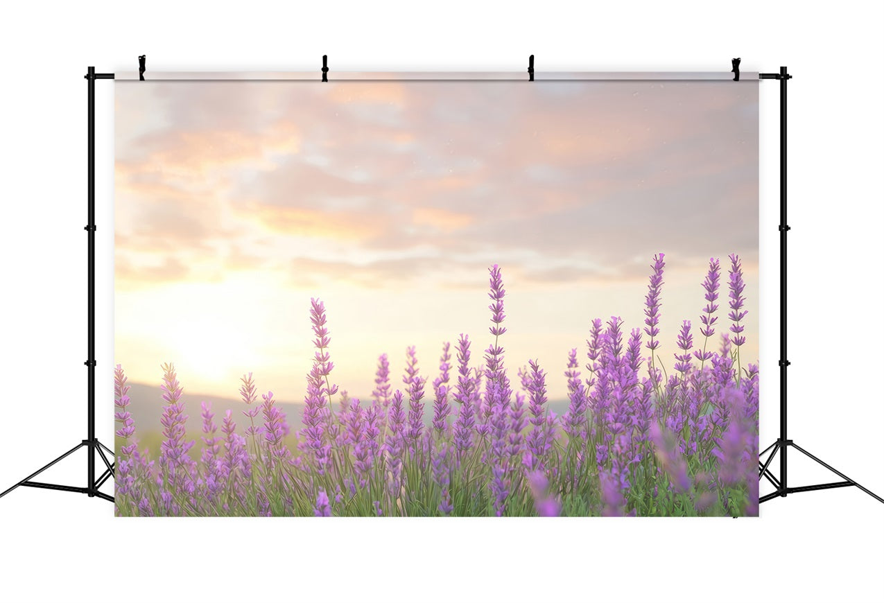 Lavender Backdrops Warm Glow Purple Flower Backdrop UK GQ4-33
