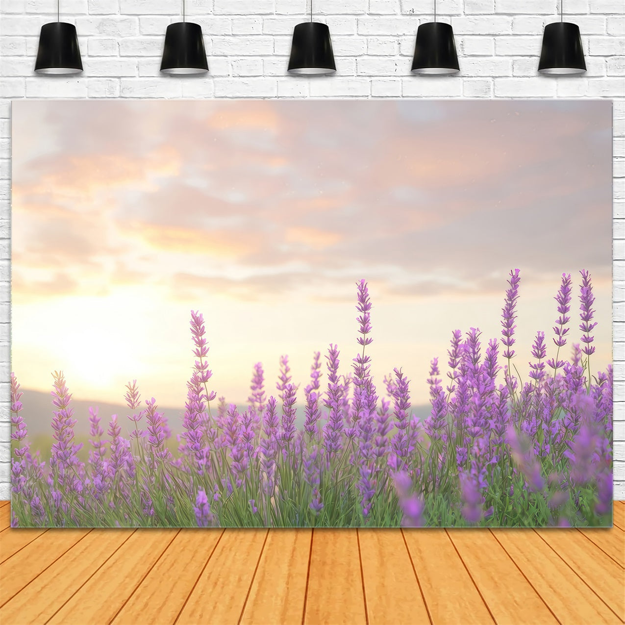 Lavender Backdrops Warm Glow Purple Flower Backdrop UK GQ4-33