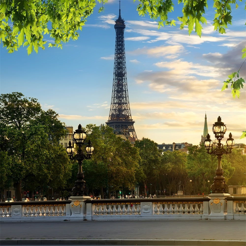 Eiffel Tower Paris Backdrop Blue Sky Green Leaves Backdrop UK GQ4-35