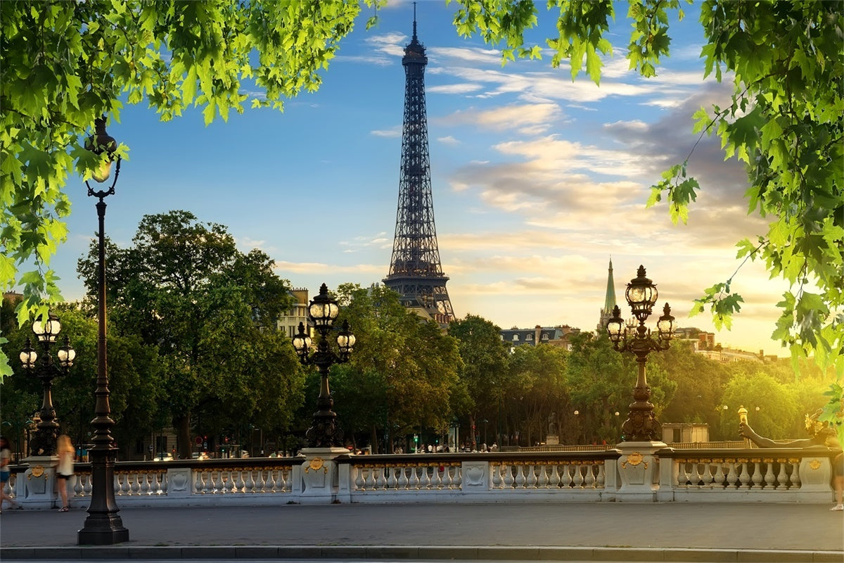 Eiffel Tower Paris Backdrop Blue Sky Green Leaves Backdrop UK GQ4-35