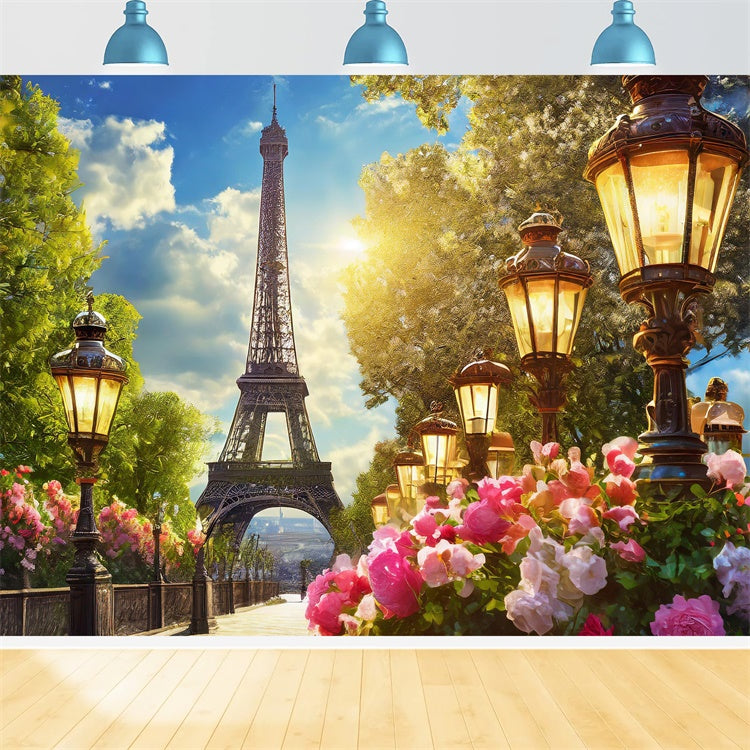 Paris Photo Backdrop Garden Path Vintage Lantern Backdrop UK GQ4-51