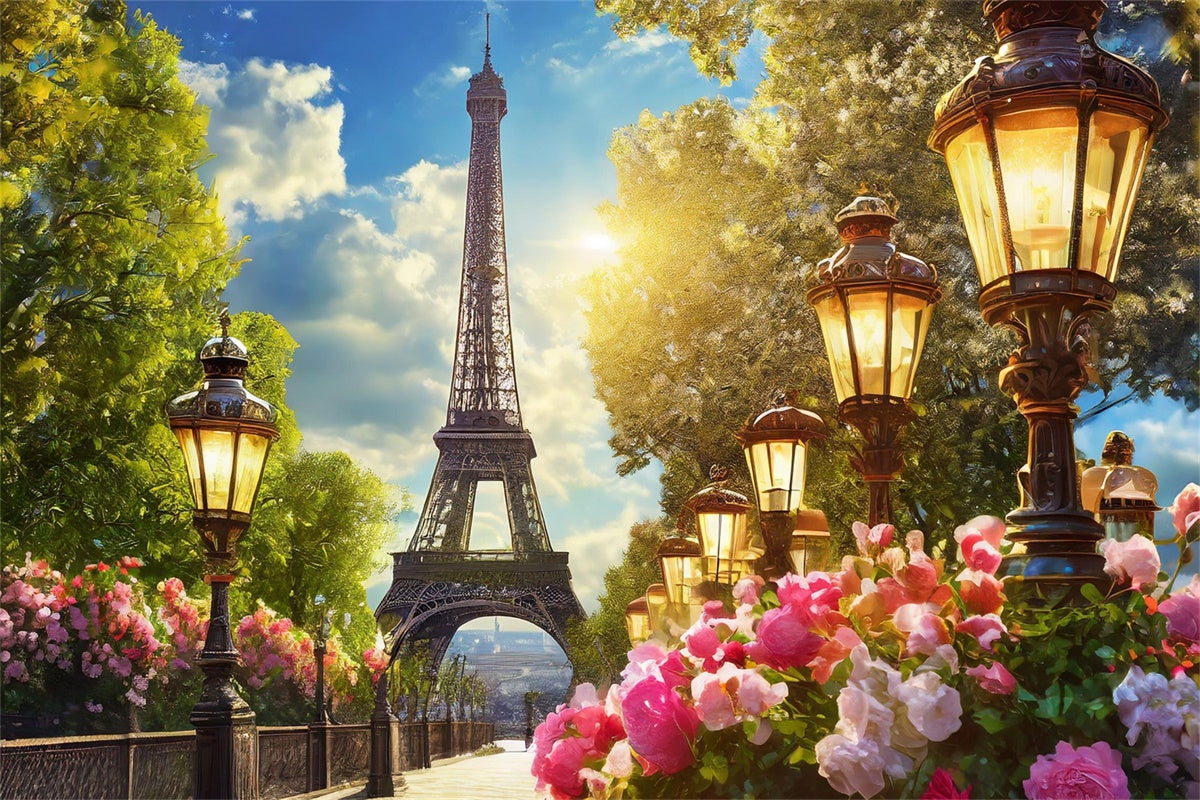 Paris Photo Backdrop Garden Path Vintage Lantern Backdrop UK GQ4-51