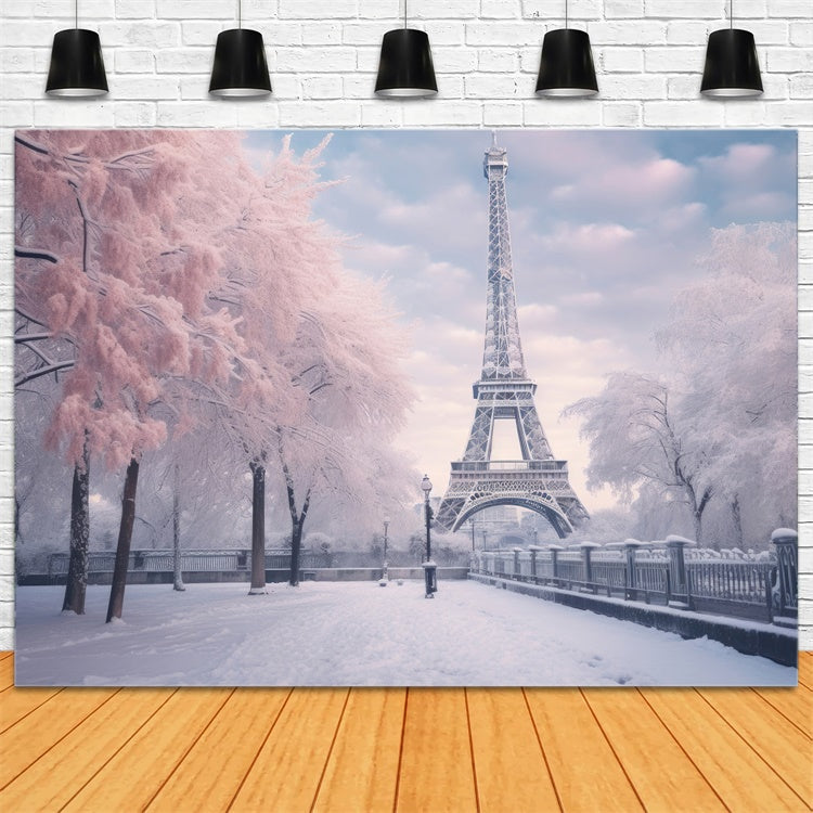 Paris Backdrop Photography Eiffel Tower Winter Scene Backdrop UK GQ4-53