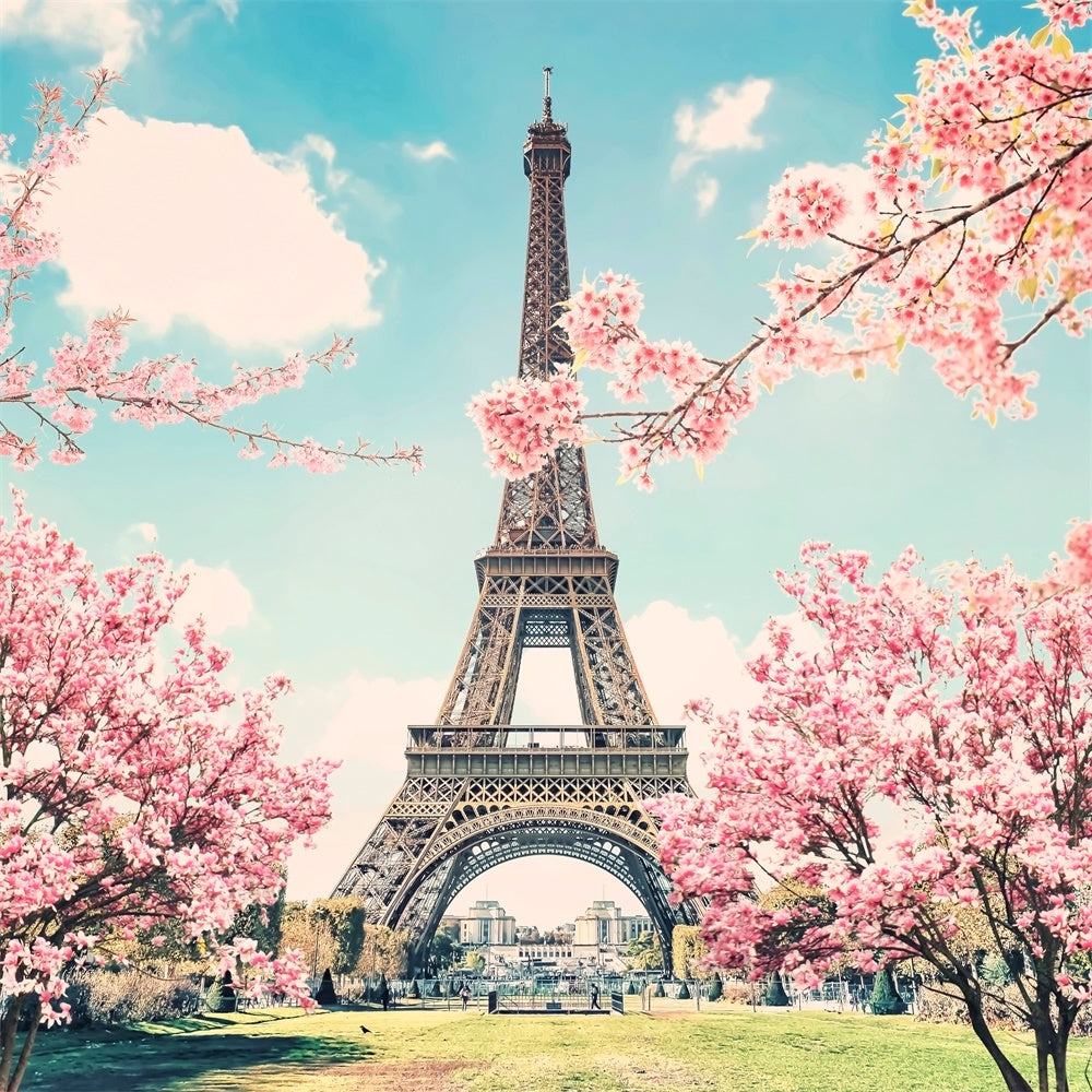Paris Eiffel Tower Backdrop Romantic Cherry Blossom Backdrop UK GQ4-55