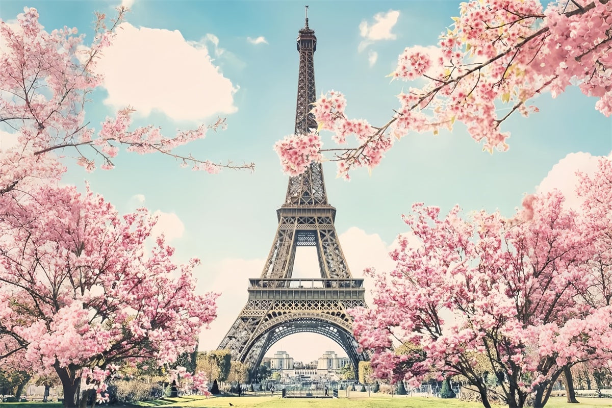 Paris Eiffel Tower Backdrop Romantic Cherry Blossom Backdrop UK GQ4-55