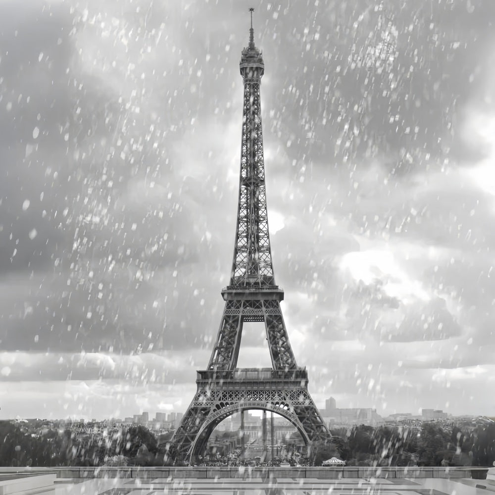 Paris Photo Backdrop Vintage Eiffel Tower Rainfall Backdrop UK GQ4-62