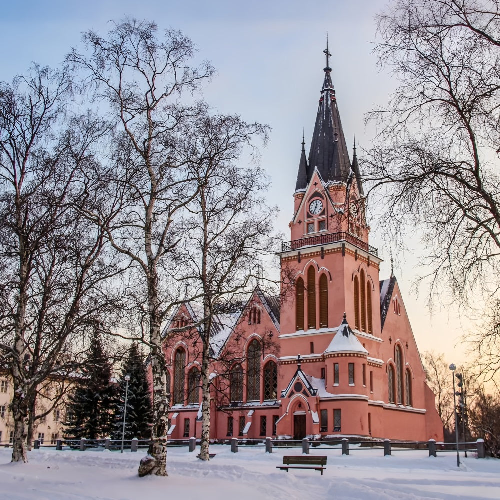 Church Photo Backdrop Clock Tower Architecture Backdrop UK GQ4-72
