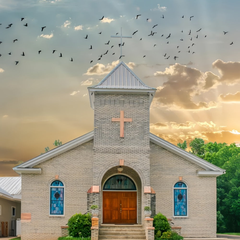 Church Backdrops Flying Birds Sky Architecture Backdrop UK GQ4-75
