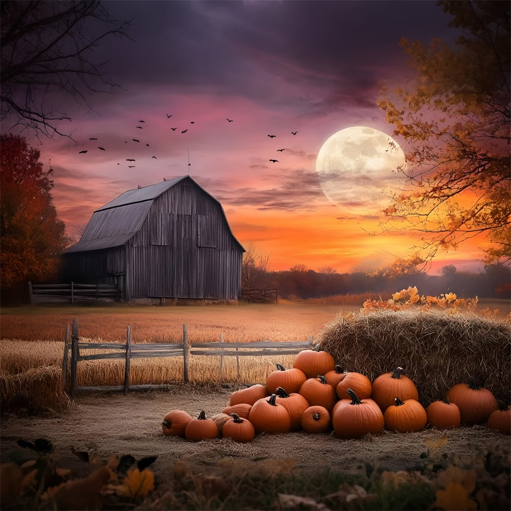 Sunset Backdrop Twilight Barn Scene Autumn Backdrops UK GQ57-106