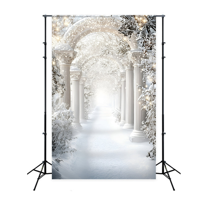 Winter Backdrop Royal Snow Arch Corridor Backdrop UK GQ57-177