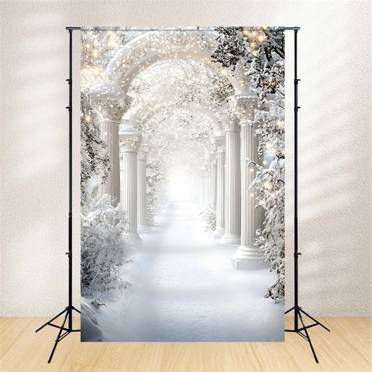 Winter Backdrop Royal Snow Arch Corridor Backdrop UK GQ57-177