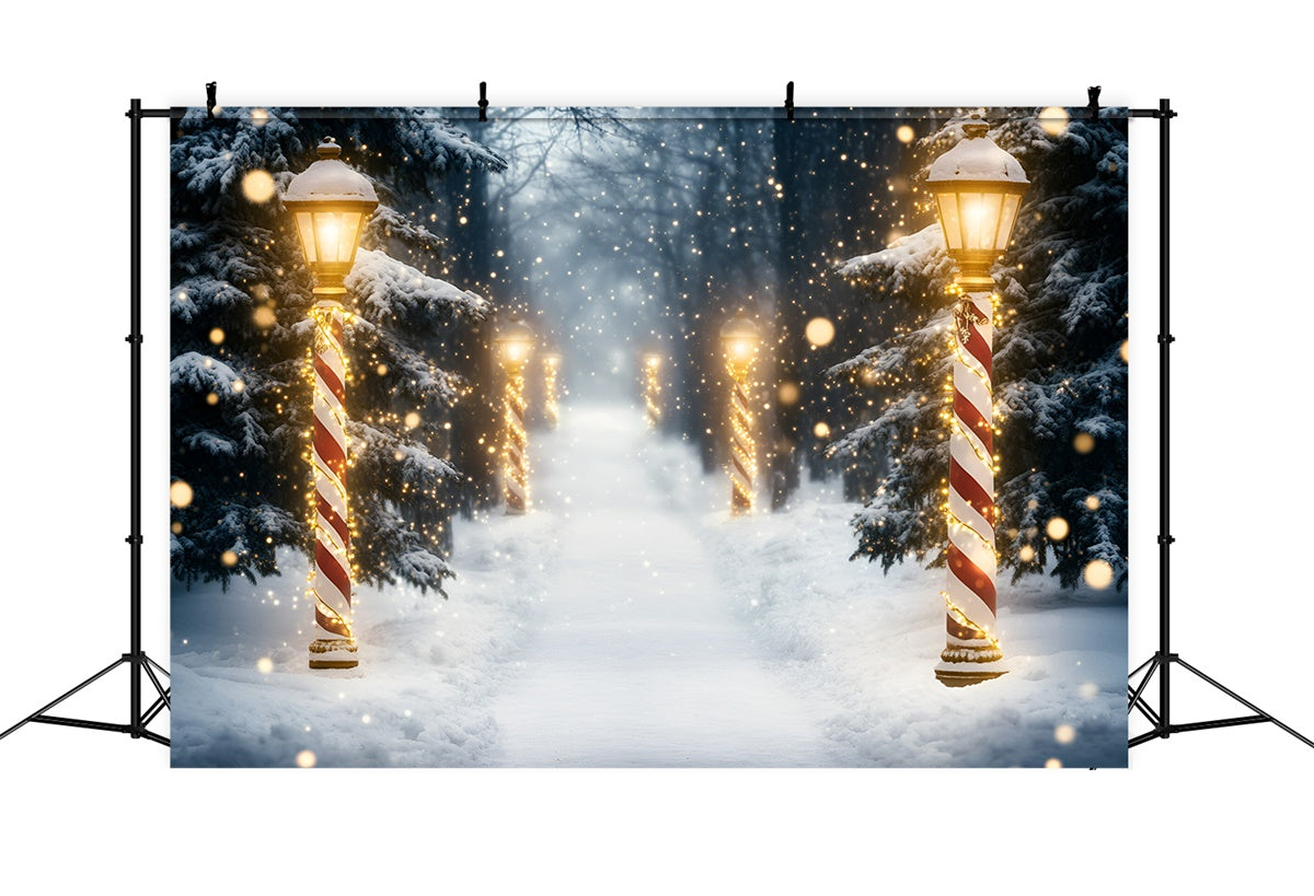 Snow Forest Backdrop Holiday Magic Forest Backdrop UK GQ57-73