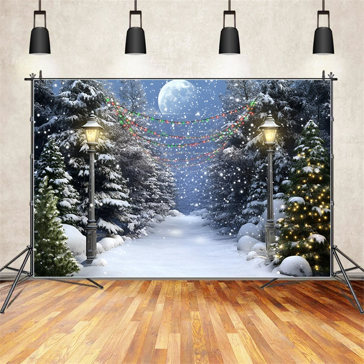 Night Forest Backdrop Full Moon Winter Trail Backdrop UK GQ57-74