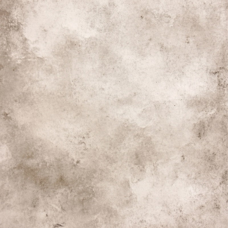 Cream Backdrop Vintage Weathered Stone Gray Pattern Photo Portrait Background UK GQ58-101