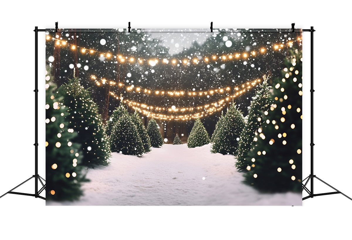 Christmas Tree Farm Backdrop Snowy Pine Lane with Twinkle Lights Professional Christmas Backdrops UK GQ58-48