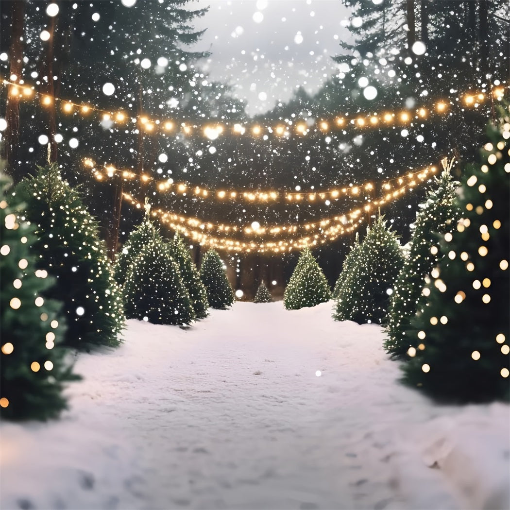 Christmas Tree Farm Backdrop Snowy Pine Lane with Twinkle Lights Professional Christmas Backdrops UK GQ58-48