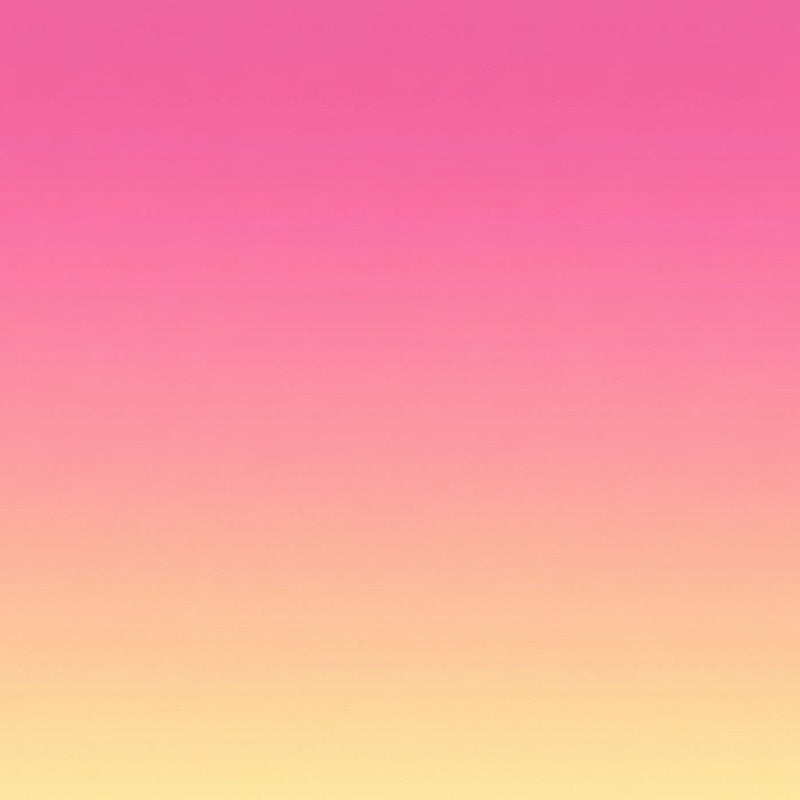 Gradient Backdrop Vibrant Pink Yellow Gradient Glow Portrait Photography Backdrops UK GQ58-65