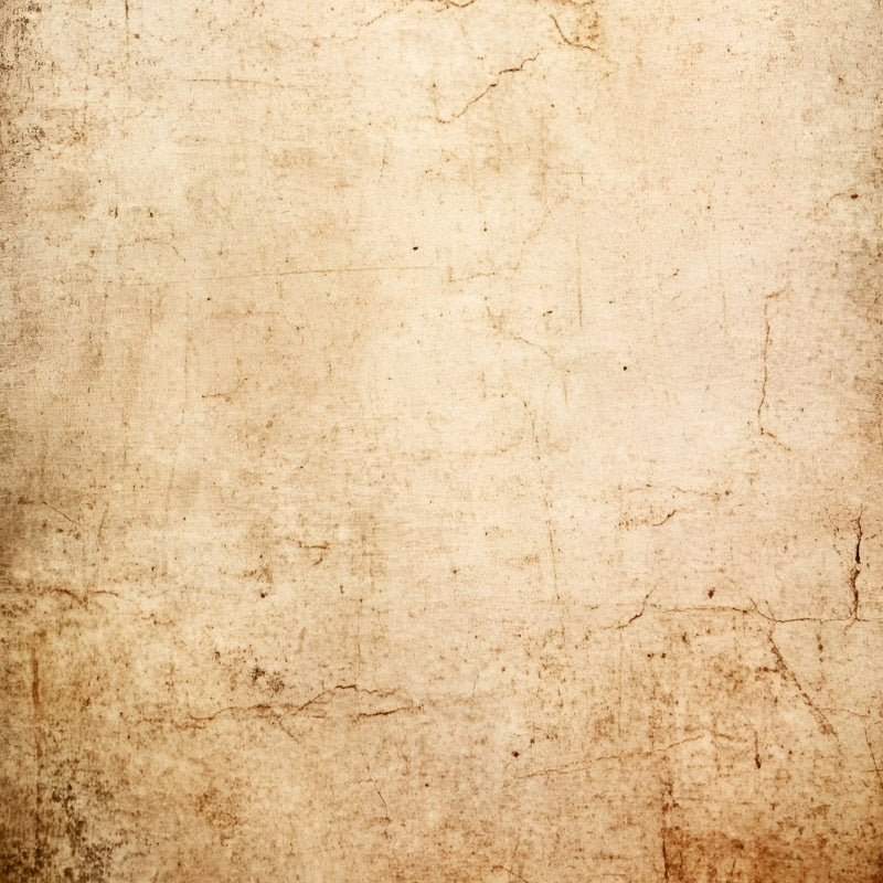 Grunge Backdrop Aged Beige Distressed Wall Texture Backgrounds for Portraits UK GQ58-89