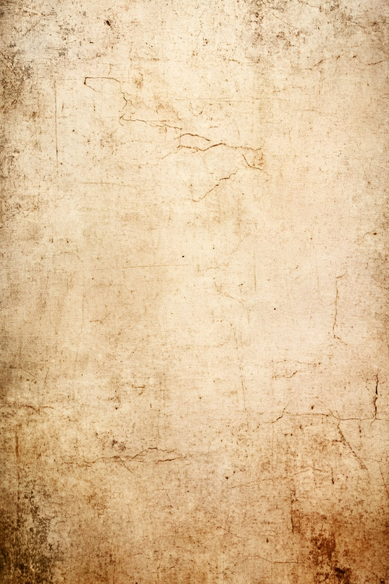 Grunge Backdrop Aged Beige Distressed Wall Texture Backgrounds for Portraits UK GQ58-89