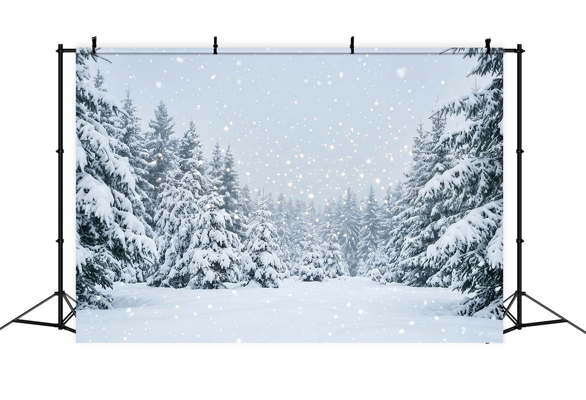 Christmas Tree Backdrops Snowy Evergreen Forest Christmas Photoshoot Backdrops UK GQ610-111