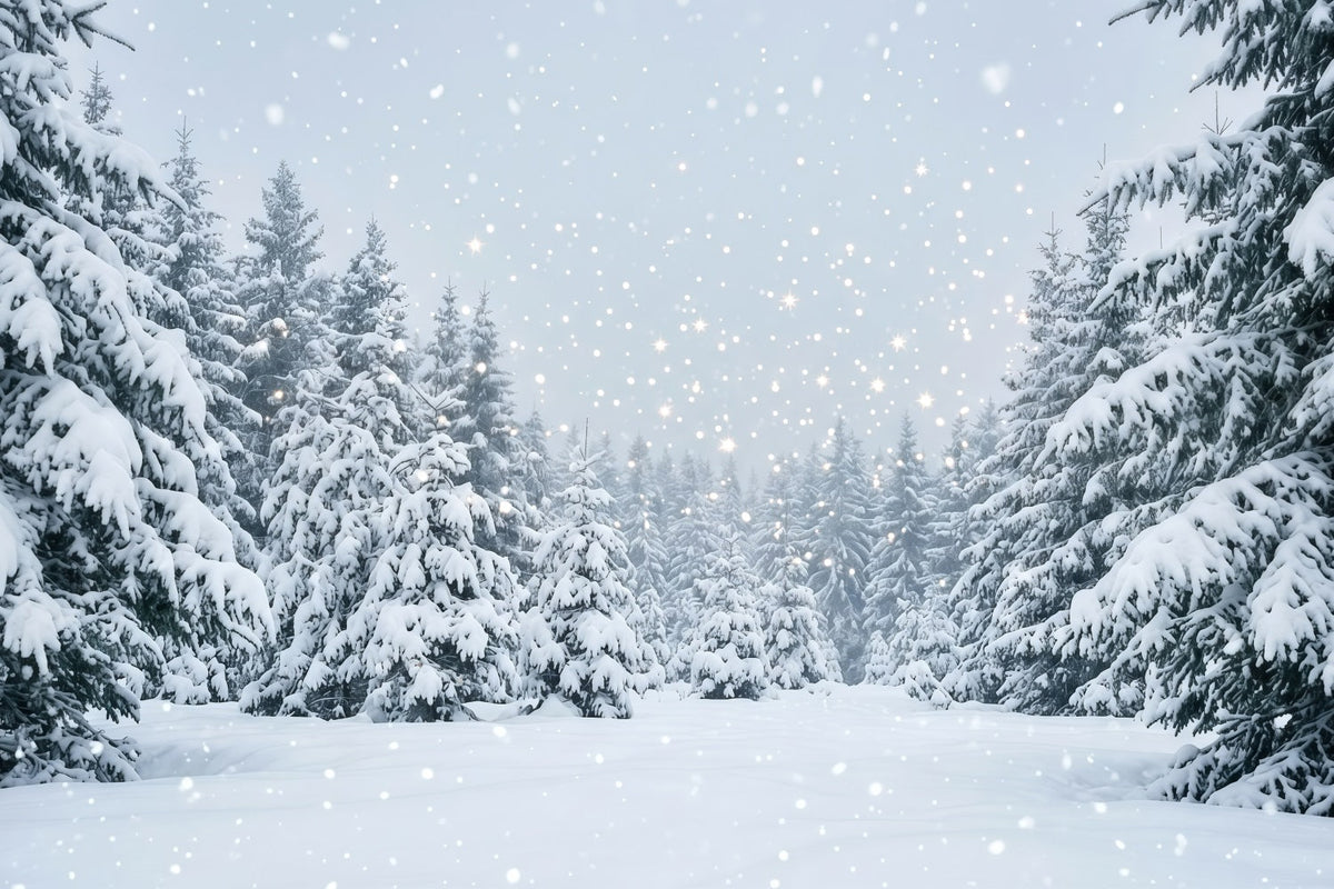 Christmas Tree Backdrops Snowy Evergreen Forest Christmas Photoshoot Backdrops UK GQ610-111