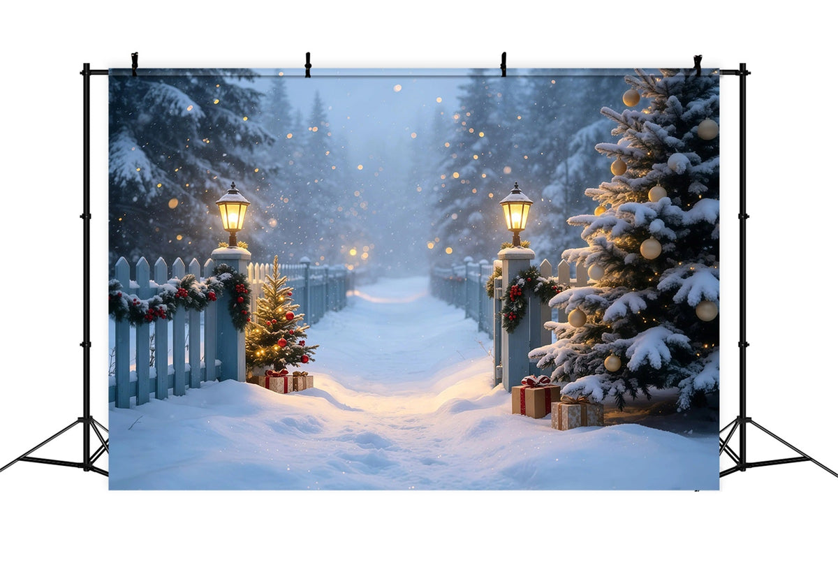 Snowy Christmas Backdrop Lantern Garden Snow Path Christmas Photo Backdrop UK GQ68-105