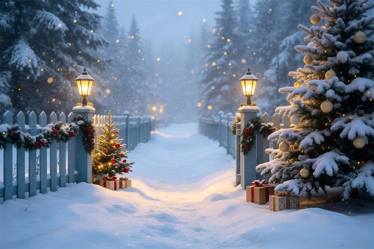 Snowy Christmas Backdrop Lantern Garden Snow Path Christmas Photo Backdrop UK GQ68-105